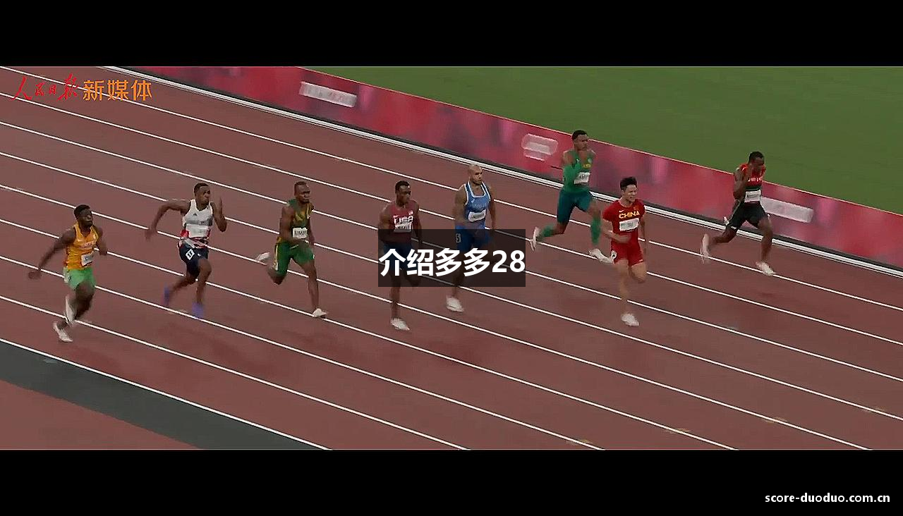 介绍多多28